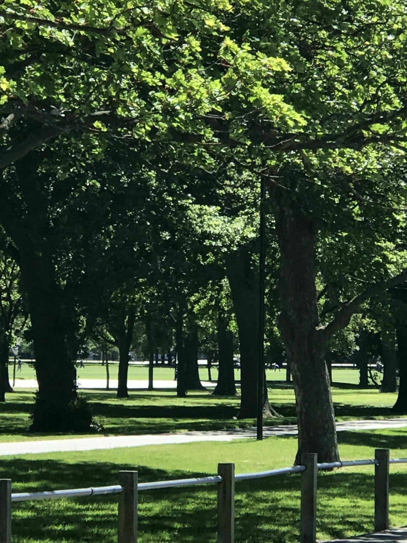 基督城444 On The Park别墅 外观 照片
