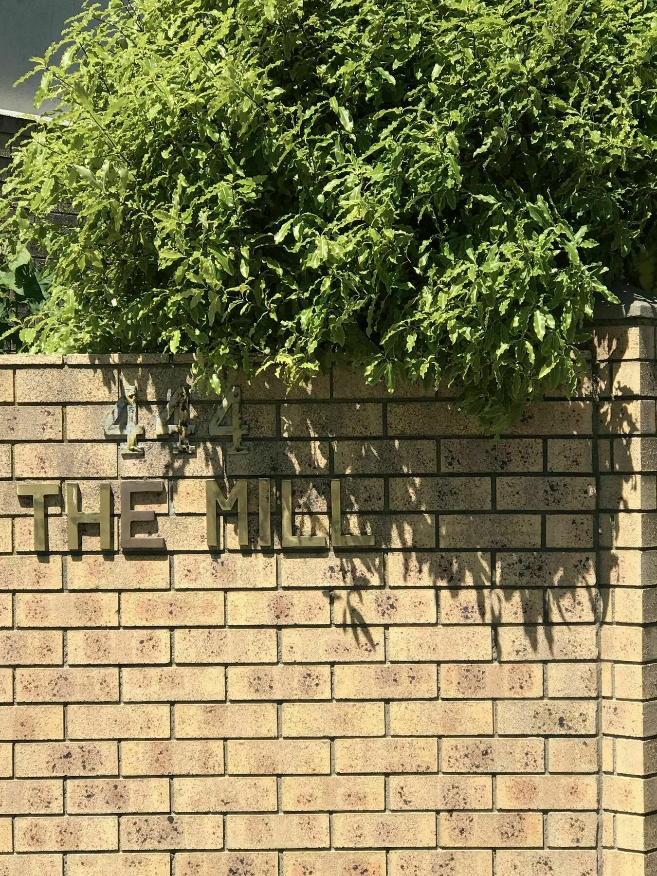 基督城444 On The Park别墅 外观 照片